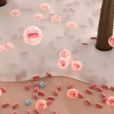 Biotic Schwarzkopf | Coserty.com Biotic Schwarzkopf | Coserty.com